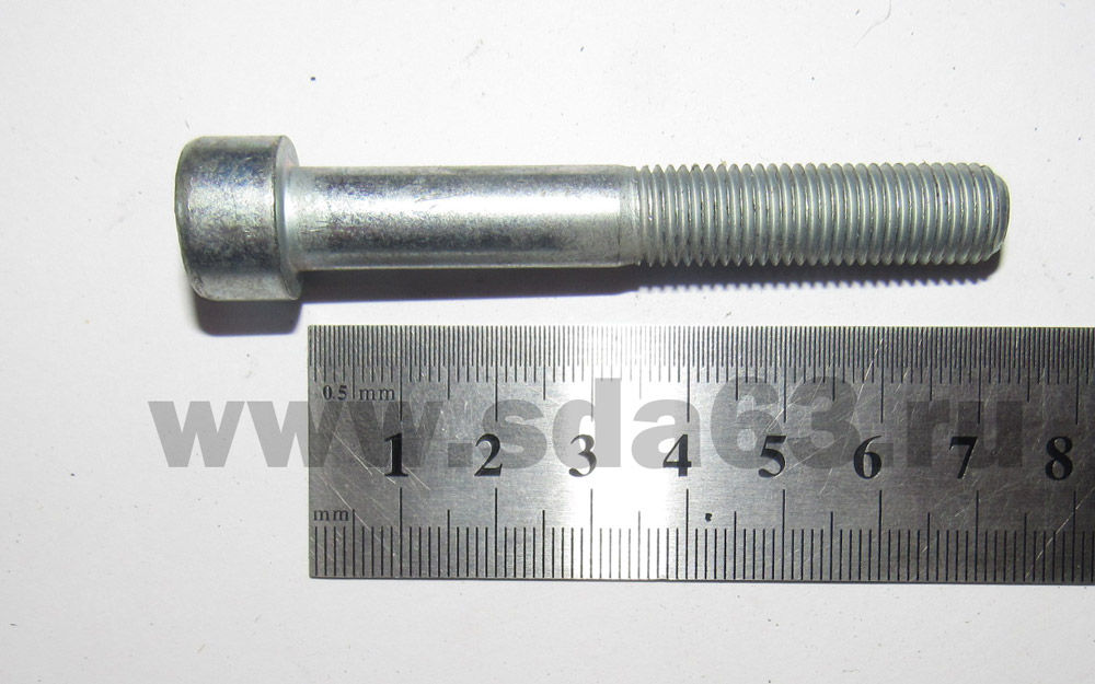 Болт суппорта (под шестигранник) М10х1,25х70