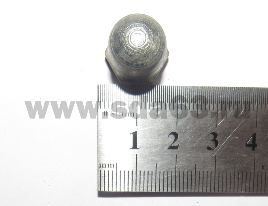 Гайка колпака колес ГАЗ 3302  (уп. 10 шт.)