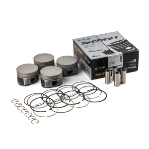 Поршень с пальцем и кольцами Газель-Бизнес, NEXT дв. А274 EvoTech D 96,5 Е к-т Эксперт Мотордеталь